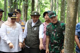 Kodam XIX/Tuanku Tambusai Perkuat Sinergi Restorasi Lingkungan, Menteri Kehutanan Turun Langsung ke 